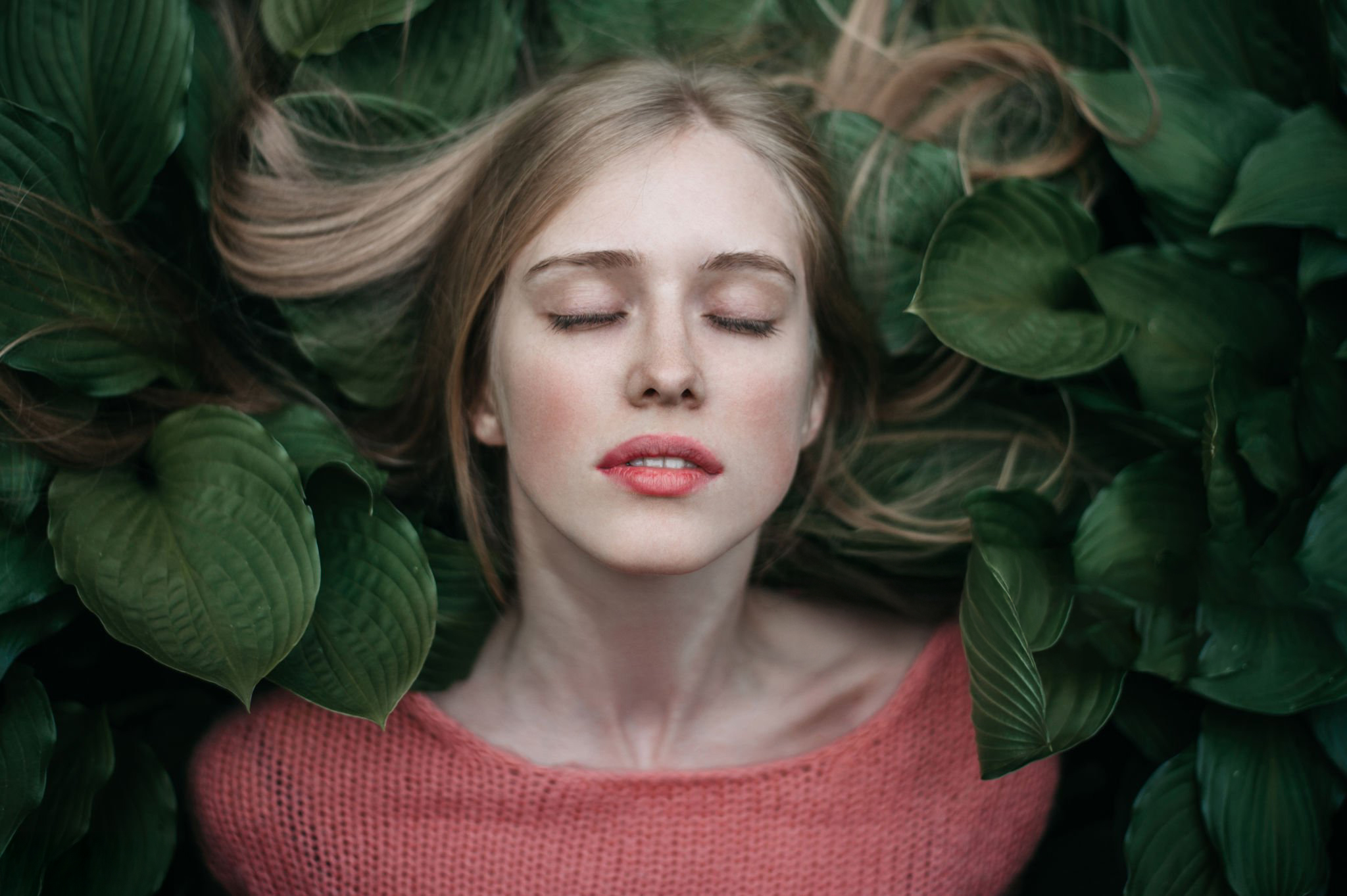 Salon Édith - image 2